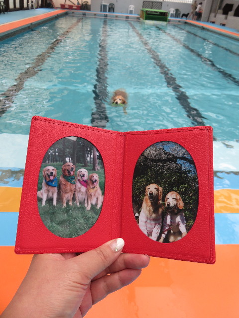 ファイル 4459-5.jpg