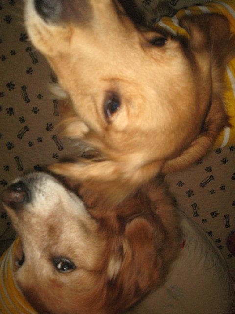 ファイル 446-3.jpg