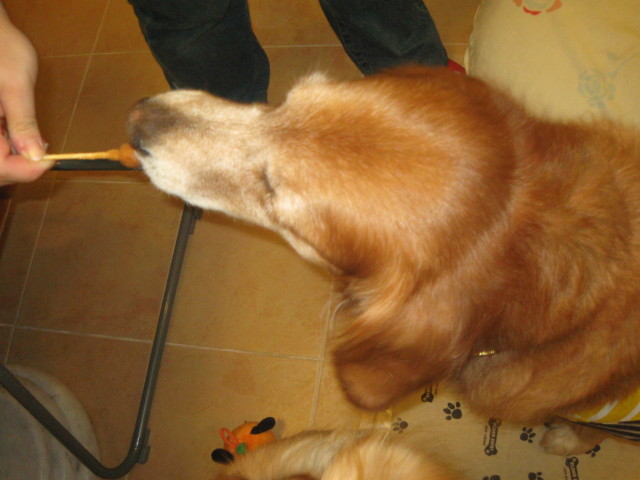 ファイル 446-4.jpg