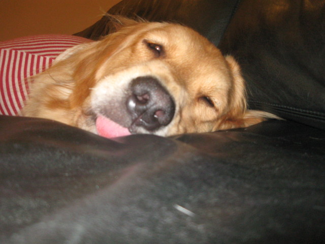 ファイル 446-5.jpg