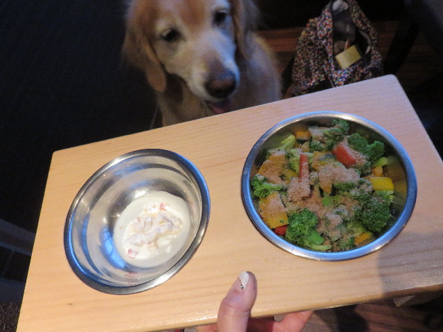 ファイル 4461-5.jpg