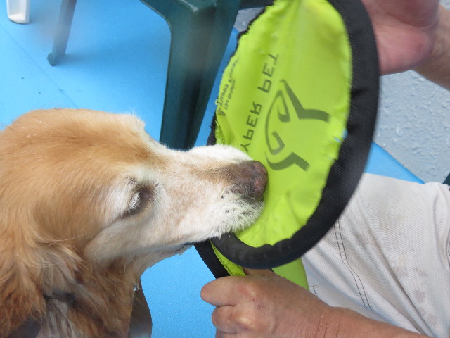 ファイル 4462-2.jpg