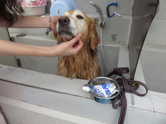 ファイル 4463-4.jpg