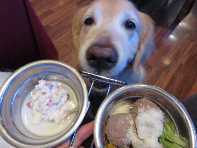 ファイル 4464-1.jpg