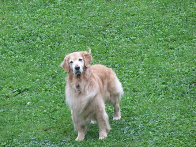 ファイル 4464-4.jpg