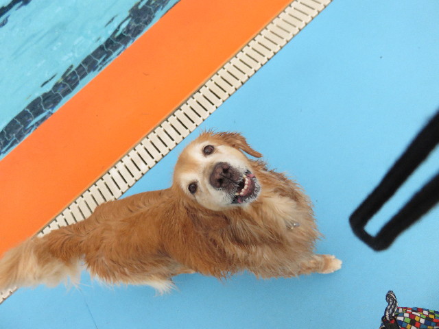 ファイル 4464-5.jpg