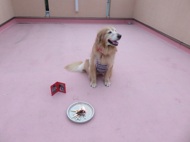 ファイル 4465-2.jpg