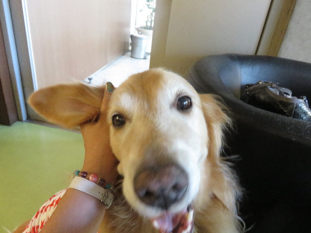 ファイル 4466-5.jpg