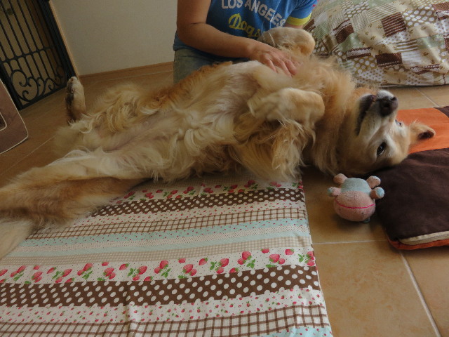 ファイル 4467-4.jpg