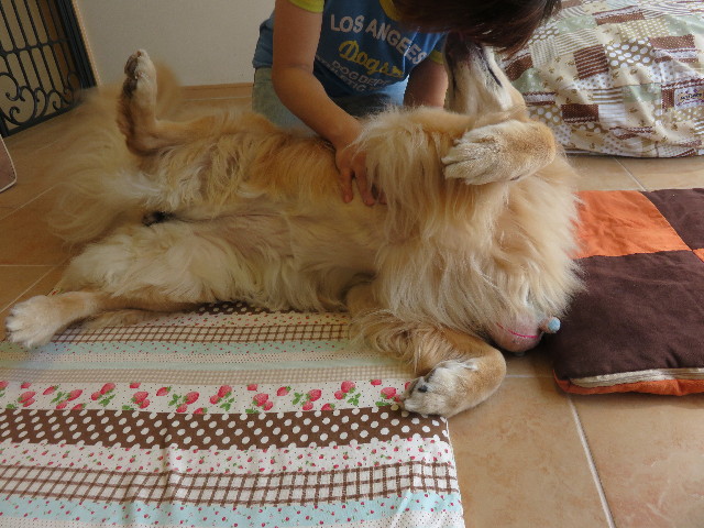 ファイル 4467-5.jpg