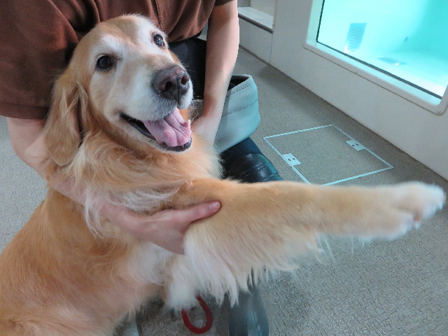 ファイル 4468-1.jpg