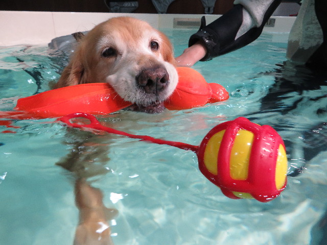 ファイル 4468-2.jpg