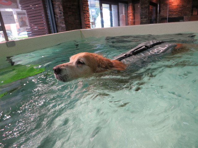 ファイル 4468-3.jpg