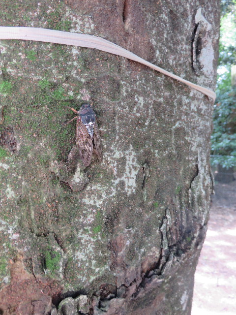 ファイル 4469-2.jpg