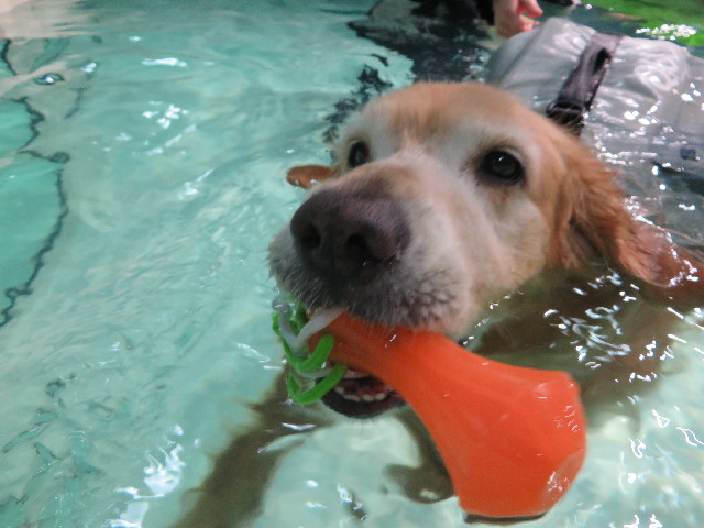 ファイル 4470-3.jpg