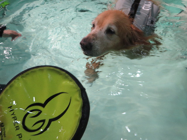 ファイル 4470-4.jpg