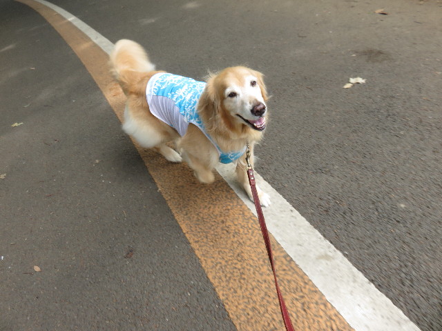 ファイル 4471-1.jpg