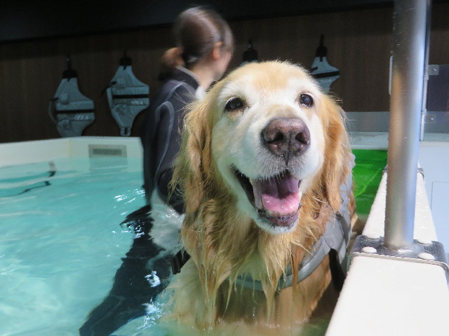 ファイル 4473-1.jpg