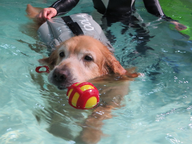 ファイル 4473-3.jpg