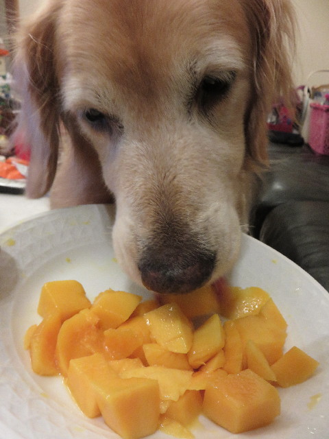 ファイル 4474-1.jpg