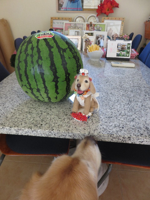 ファイル 4474-4.jpg