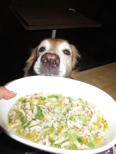 ファイル 4475-3.jpg