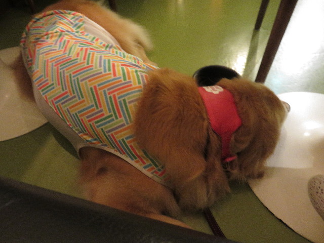 ファイル 4475-4.jpg