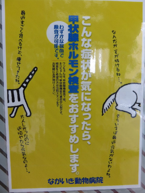 ファイル 4475-5.jpg