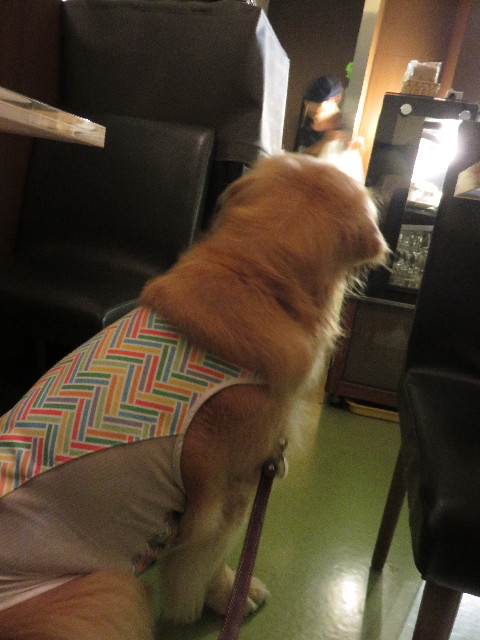 ファイル 4477-4.jpg