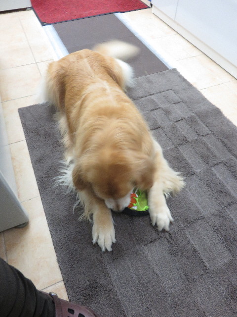 ファイル 4478-3.jpg