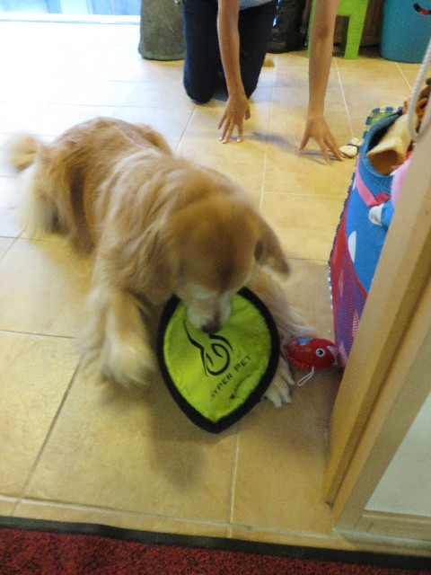 ファイル 4478-4.jpg