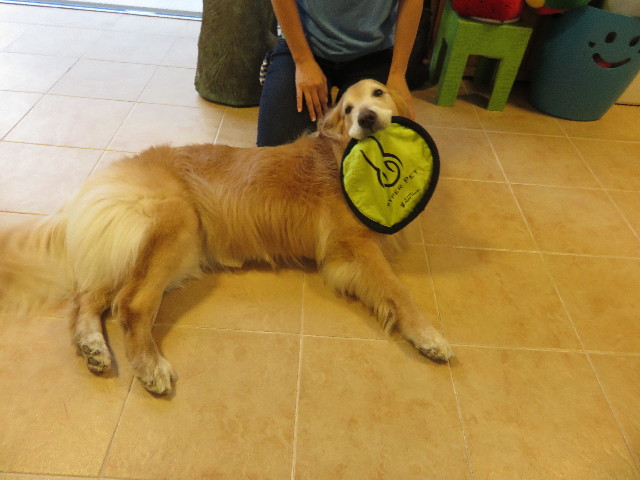 ファイル 4478-5.jpg