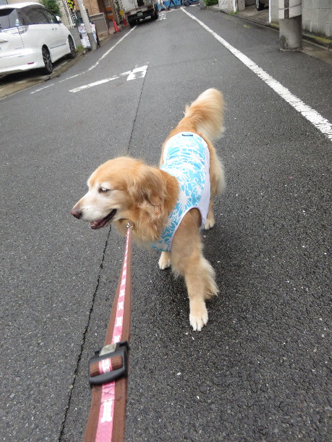 ファイル 4479-1.jpg