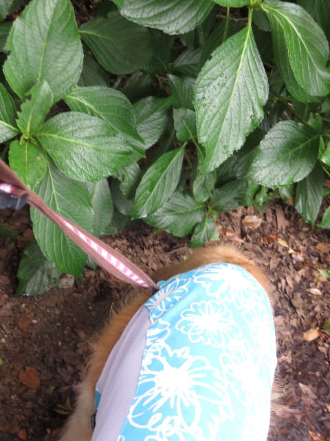 ファイル 4479-3.jpg