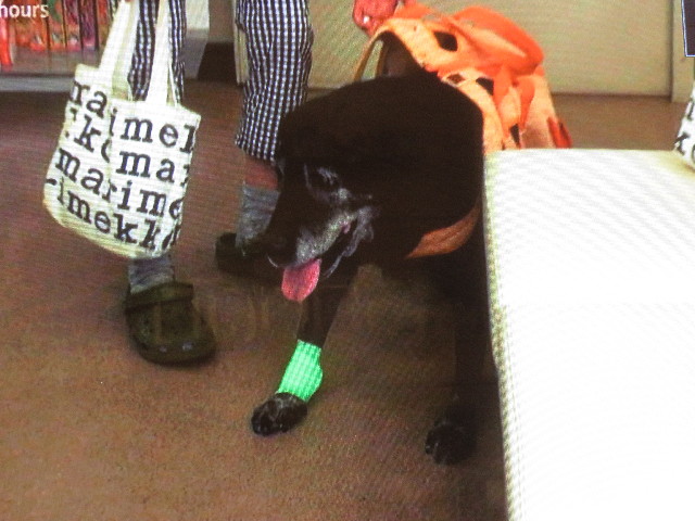 ファイル 4479-5.jpg