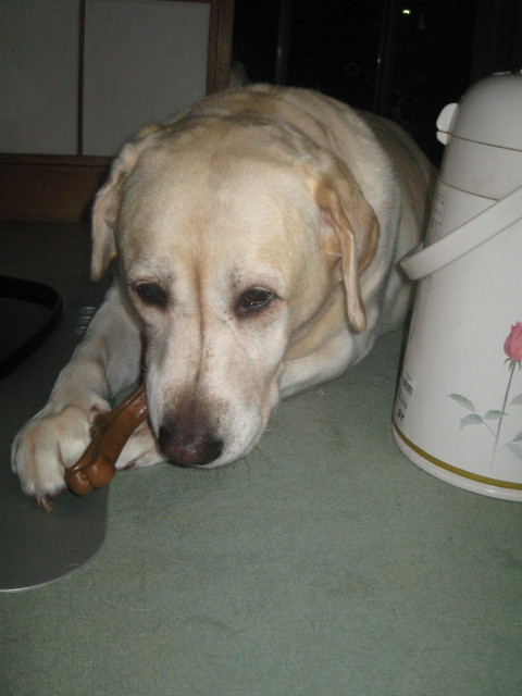 ファイル 448-4.jpg