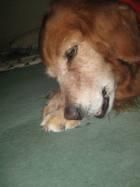 ファイル 448-5.jpg