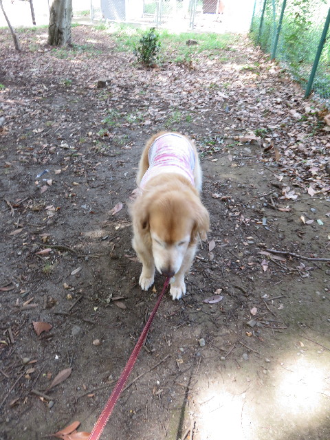 ファイル 4480-1.jpg