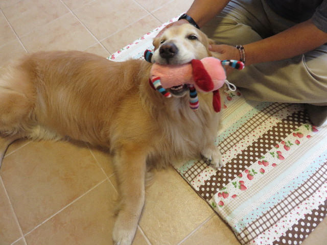 ファイル 4480-2.jpg