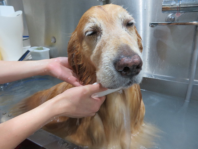 ファイル 4481-5.jpg