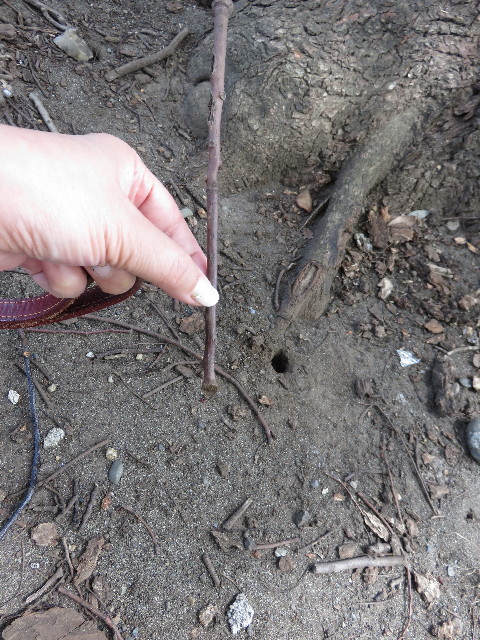 ファイル 4482-2.jpg