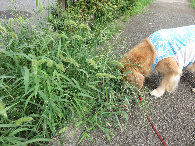 ファイル 4482-3.jpg