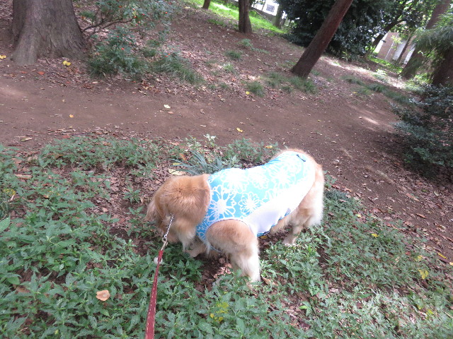 ファイル 4482-4.jpg