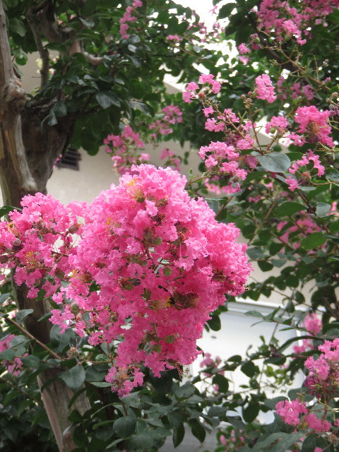 ファイル 4482-5.jpg