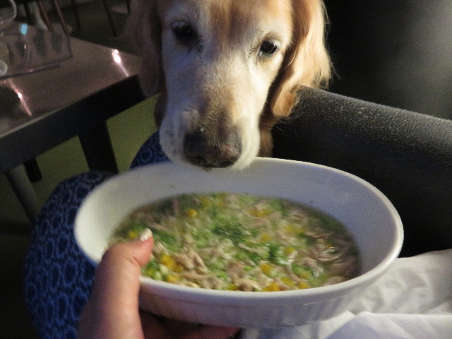 ファイル 4484-3.jpg