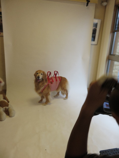 ファイル 4486-5.jpg