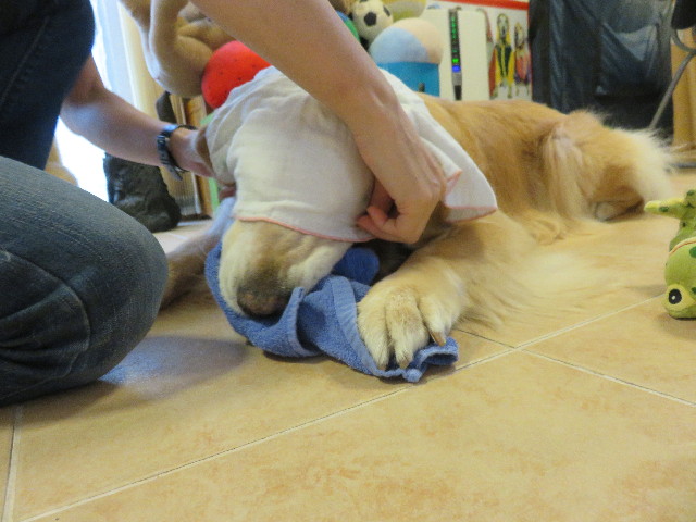 ファイル 4487-5.jpg