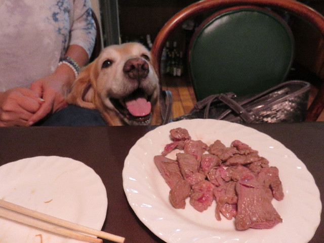 ファイル 4488-4.jpg