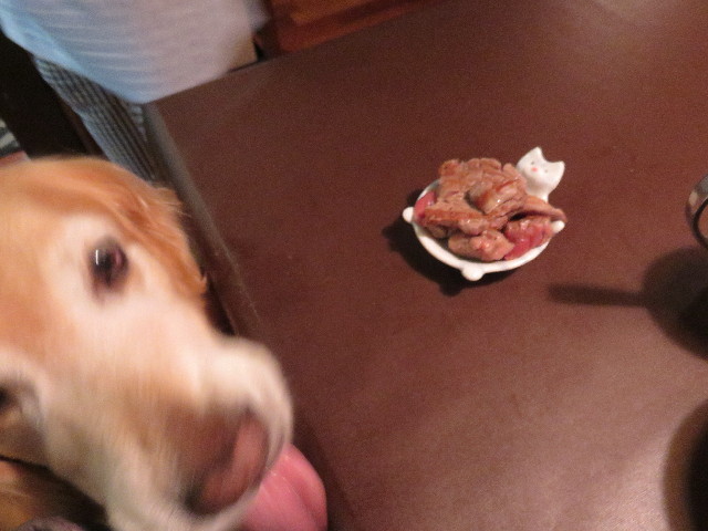 ファイル 4488-5.jpg