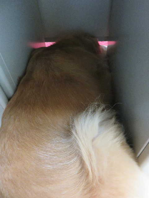 ファイル 4489-4.jpg